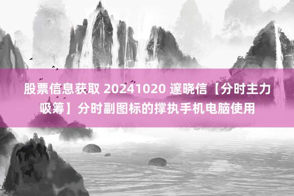 股票信息获取 20241020 邃晓信【分时主力吸筹】分时副图标的撑执手机电脑使用