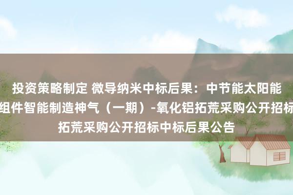 投资策略制定 微导纳米中标后果：中节能太阳能平邑高效电板组件智能制造神气（一期）-氧化铝拓荒采购公开招标中标后果公告