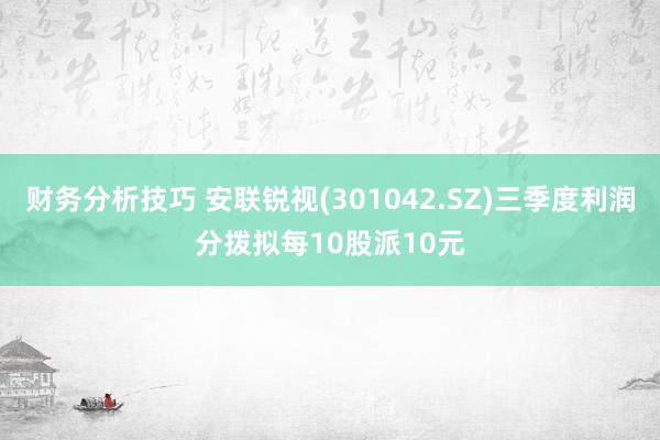 财务分析技巧 安联锐视(301042.SZ)三季度利润分拨拟每10股派10元