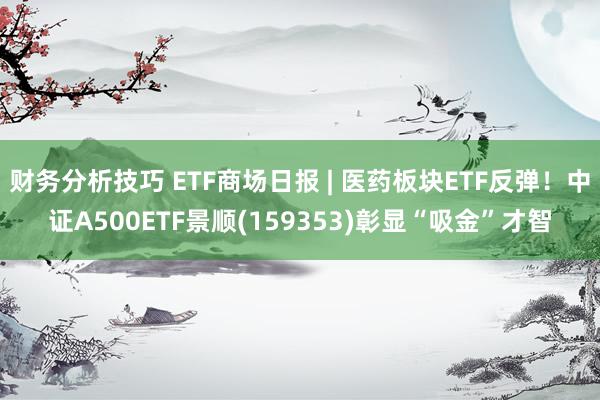 财务分析技巧 ETF商场日报 | 医药板块ETF反弹！中证A500ETF景顺(159353)彰显“吸金”才智