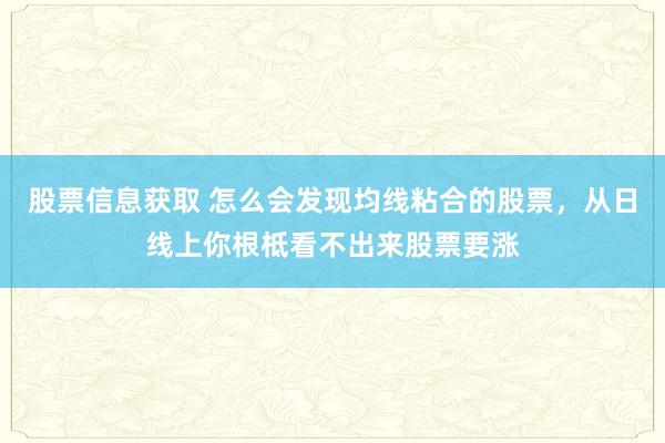 股票信息获取 怎么会发现均线粘合的股票，从日线上你根柢看不出来股票要涨