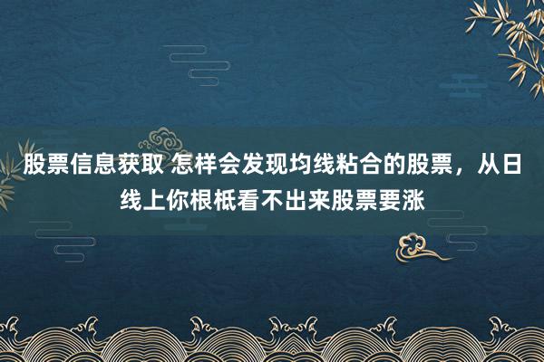 股票信息获取 怎样会发现均线粘合的股票，从日线上你根柢看不出来股票要涨