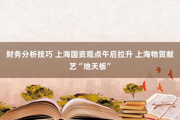 财务分析技巧 上海国资观点午后拉升 上海物贸献艺“地天板”