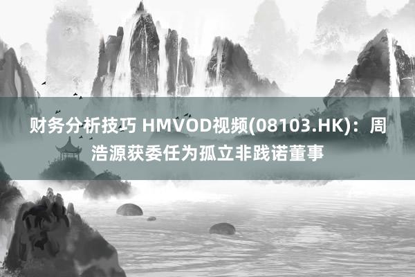 财务分析技巧 HMVOD视频(08103.HK)：周浩源获委任为孤立非践诺董事