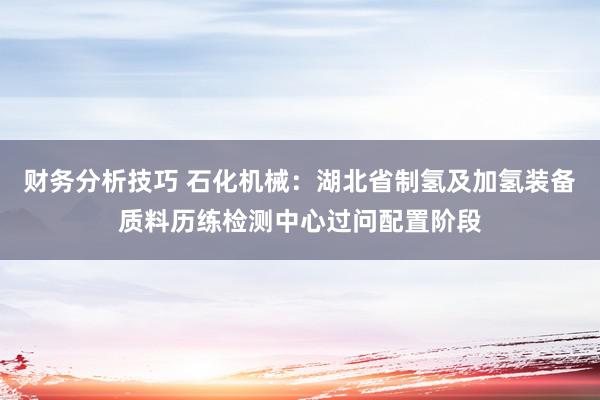 财务分析技巧 石化机械：湖北省制氢及加氢装备质料历练检测中心过问配置阶段