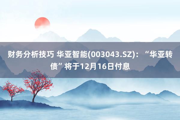 财务分析技巧 华亚智能(003043.SZ)：“华亚转债”将于12月16日付息