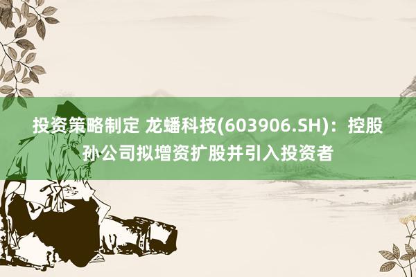 投资策略制定 龙蟠科技(603906.SH)：控股孙公司拟增资扩股并引入投资者