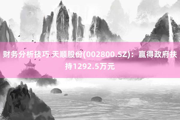 财务分析技巧 天顺股份(002800.SZ)：赢得政府扶持1292.5万元