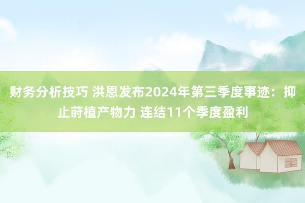 财务分析技巧 洪恩发布2024年第三季度事迹：抑止莳植产物力 连结11个季度盈利