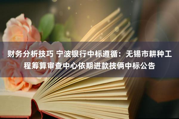 财务分析技巧 宁波银行中标遵循：无锡市耕种工程筹算审查中心依期进款技俩中标公告