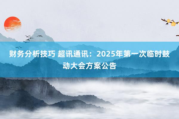 财务分析技巧 超讯通讯：2025年第一次临时鼓动大会方案公告