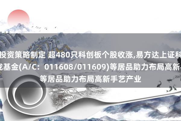 投资策略制定 超480只科创板个股收涨,易方达上证科创50聚拢基金(A/C：011608/011609)等居品助力布局高新手艺产业