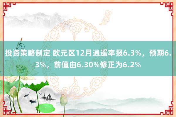 投资策略制定 欧元区12月逍遥率报6.3%，预期6.3%，前值由6.30%修正为6.2%