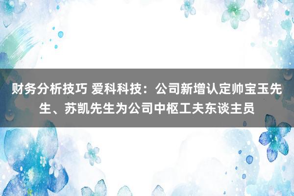 财务分析技巧 爱科科技：公司新增认定帅宝玉先生、苏凯先生为公司中枢工夫东谈主员