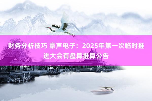 财务分析技巧 豪声电子：2025年第一次临时推进大会有盘算推算公告